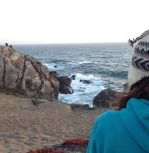 Sonoma Coast Camping