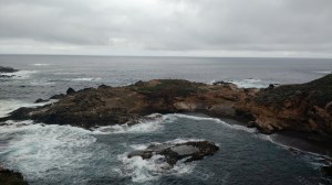 Point Lobos State Reserve California